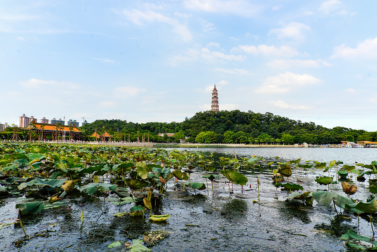 Mt. Shunfeng Park